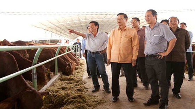 Phó Thủ tướng Lào Somsavat Lengsavad thăm nông trại chăn nuôi bò HAGL tại Attapeu (Lào).