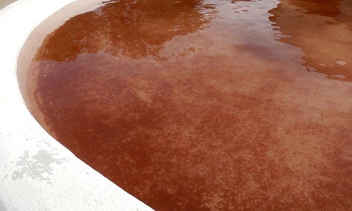 Nước ở một vùng trũng tại Fuente Encalada, Tây Ban Nha, nhuộm màu đỏ do tảo Haematococcus pluvialis sau cơn mưa. Ảnh: Joaquín Pérez.