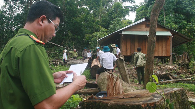 Cơ quan chức năng lập biên bản, kiểm tra vụ phá rừng ở Trà Bui.