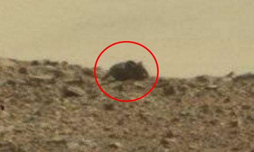 Hình ảnh con chuột ở miệng hố Gale thuộc sao Hỏa. Ảnh: NASA.