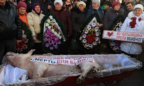 Nông dân Ukraine tổ chức đám tang cho lợn để phản đối chính sách của chính phủ. Ảnh: Sputnik.