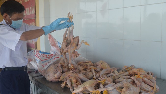 Gần 2 tạ thịt gà thối bị thu giữ.