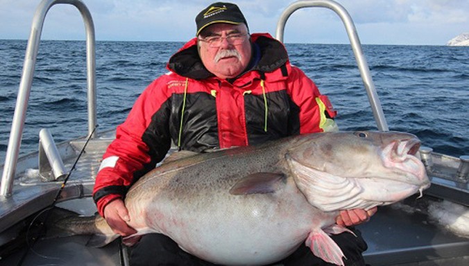 Cụ ông Bert Williams ôm con cá tuyết nặng hơn 42 kg. Ảnh: BBC.