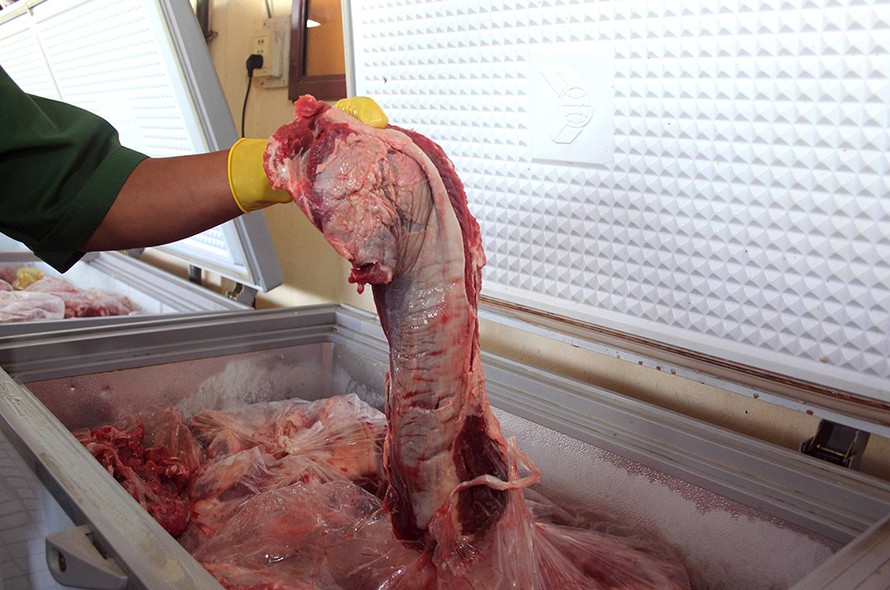 Thịt trâu đông lạnh không có giấy kiểm dịch được chủ cơ sở dùng hóa chất "hô biến" thành thịt bò tươi để bán ra thị trường.