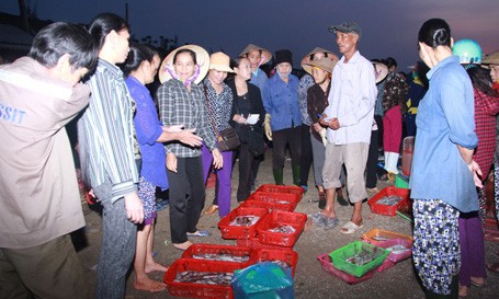 Chợ cá Thạch Kim hoạt động nhộn nhịp trở lại sau thời gian cá chết hàng loạt ở miền Trung.