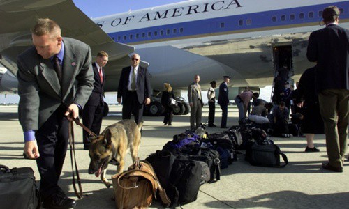 Chó nghiệp vụ bảo vệ tổng thống Mỹ thường được tuyển chọn kỹ lưỡng và phải trải qua một quá trình huấn luyện gắt gao. Ảnh minh họa: AFP.