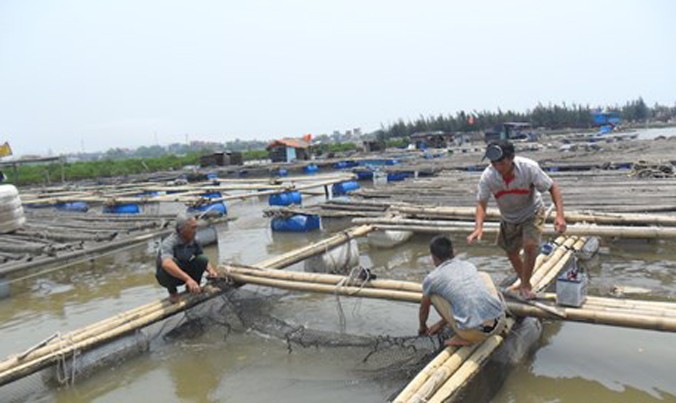 Một số hình ảnh lực lượng chức năng kiểm tra hiện tượng cá nuôi chết tại huyện Tĩnh Gia trưa ngày 8/5. Ảnh: Phạm Nhài.