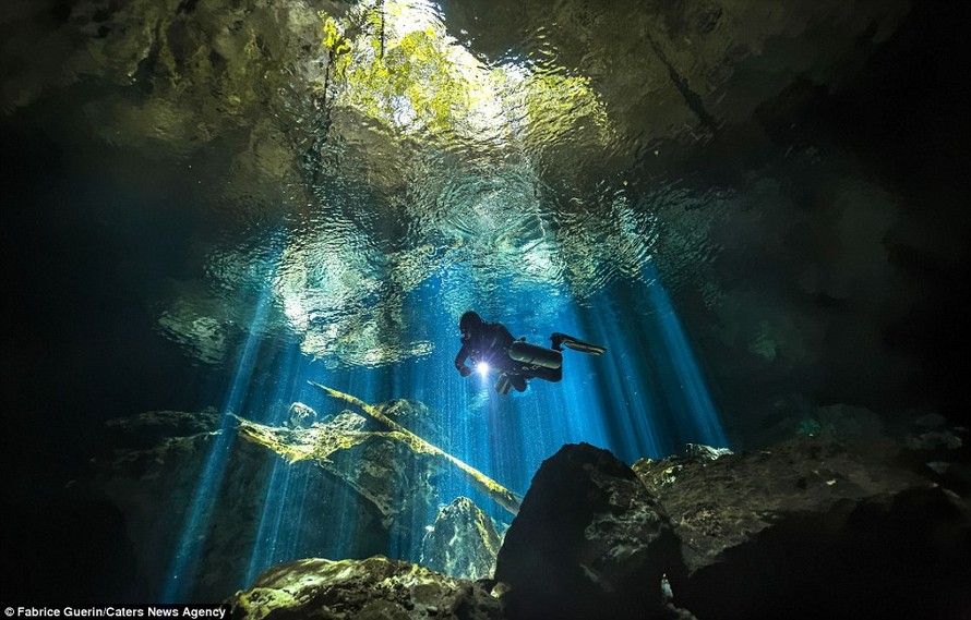 Hố sâu nằm ở trung tâm rừng Maya trên bán đảo Yucatan, Mexico. Các thợ lặn đã tìm thấy nhiều xương động vật và hóa thạch tại đây.