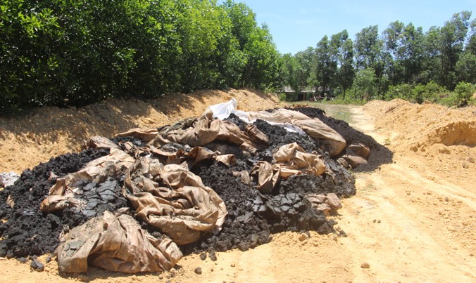 Chất thải chôn lấp tại trang trại tại phường Kỳ Trinh.