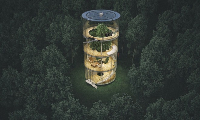 KTS người Kazakhstan, Aibek Almassov, là người đam mê trồng cây. Ông muốn thiết kế một ngôi nhà với điểm nhấn trung tâm là một cây to mọc xuyên qua sàn của tất cả các tầng.