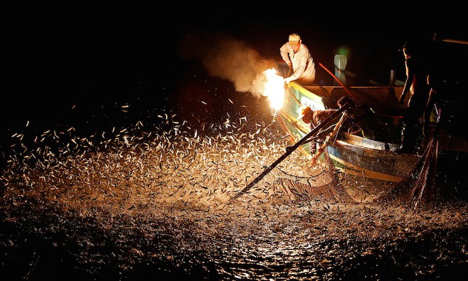 Hàng trăm năm qua, ngư dân Đài Loan đã đánh bắt cá mòi bằng cách sử dụng lửa. Phương pháp này khá đơn giản nhưng lại đem đến vẻ đẹp đầy mê hoặc.