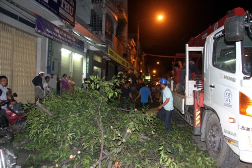 Hàng chục người nâng cây sao bị bật gốc, giải cứu cô gái. Ảnh: Xuân Ngọc.