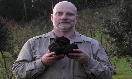 Cây nấm cục đen có trọng lượng kỷ lục 1,5 kg. Ảnh: Stuart Dunbar.