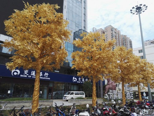 Trên một tuyến phố nhỏ trước cửa ngân hàng Truyền Thông ở Trịnh Châu, Trung Quốc, người dân địa phương và du khách tỏ ra vô cùng ngạc nhiên khi đột nhiên xuất hiện 6 cây phủ vàng sáng chói.