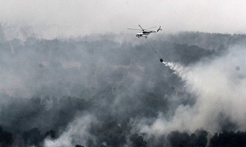 Khói mù do đốt rừng ở Indonesia. Ảnh: AFP.