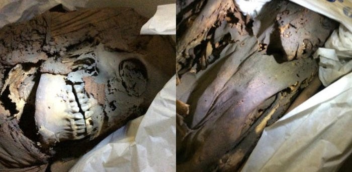 Nguyên nhân cái chết của xác ướp Ai Cập cổ đại có thể là do nhiễm trùng và ung thư. Ảnh: Macquarie University.