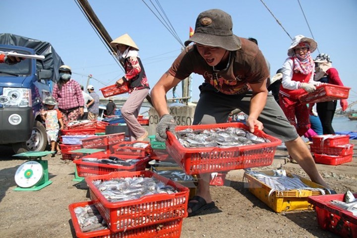 Hội Nghề cá Việt Nam đề nghị cần phát tờ rơi cho người tiêu dùng nhận biết cá tầng đáy.