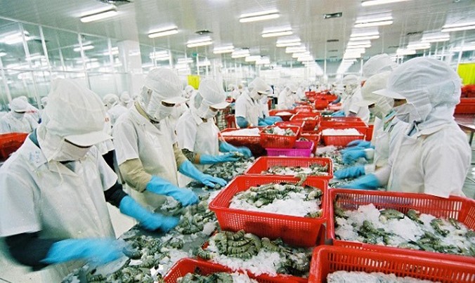 EU cảnh báo nhiều lô hàng thủy sản Việt Nam nhiễm kim loại nặng vượt mức cho phép.