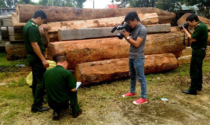 Cơ quan chức năng đang đo đạc, xác minh chủng loại gỗ.