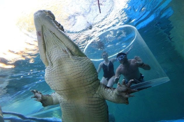 Lồng tử thần (Cage of Death) là điểm giải trí nổi tiếng, trong đó du khách sẽ được đối mặt với những con cá sấu nước mặn khổng lồ.