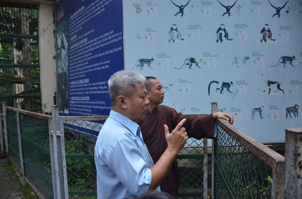 Đại diện Thảo Cầm Viên đưa sư thầy ra vườn thú thăm chim khổng tước, đồng thời hướng dẫn về địa phương làm bản tường trình, có xác nhận của địa phương về nguồn gốc chim quý.