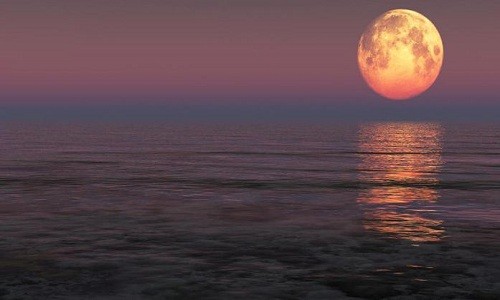 Siêu trăng trên biển Florida, Mỹ. Ảnh: NBC Miami.