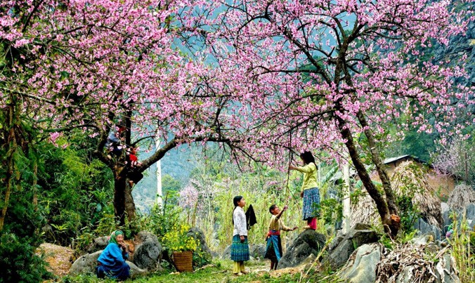 5 hành trình du lịch lý tưởng cho cho ngày giao mùa Đông - Xuân
