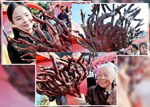 Nhiều người thích thú cầm cây linh chi chụp ảnh trong hội chợ ở thành phố Thượng Nhiêu. Ảnh: NDTV.