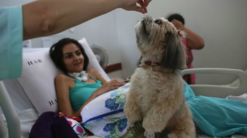 Bệnh nhân 20 tuổi Gleisiane Oliveira trên giường bệnh bên cạnh chú chó Mille. Ảnh: FoxNews.