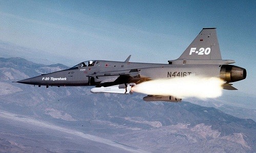 Mẫu tiêm kích F-20 của Mỹ. Ảnh: Aviations militaires.