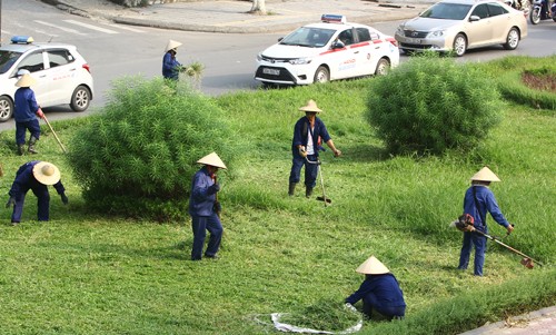 Chi phí cắt cỏ tại Hà Nội được dư luận quan tâm sau thông tin cắt cỏ 24 km đại lộ Thăng Long hết 53 tỷ đồng. Ảnh minh họa: Võ Hải.