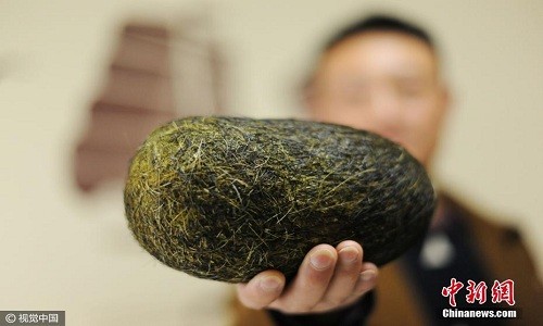 Quả trứng nặng hơn 1,2 kg được tìm thấy trong bụng lợn. Ảnh: China News.