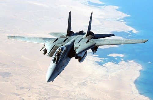 Tiêm kích F-14 Tomcat của Mỹ. Ảnh: Playbuzz.