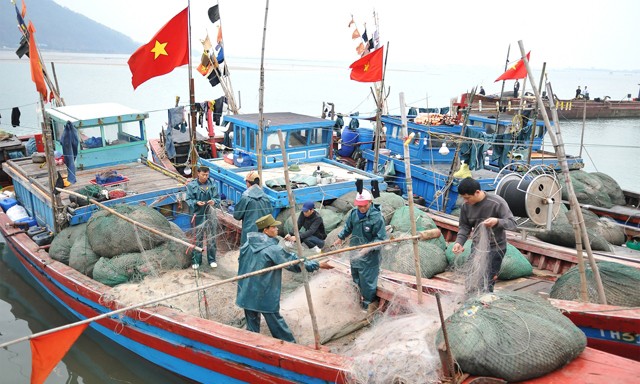 Bốn tỉnh miền Trung đang khẩn trương giải ngân đền bù cho ngư dân bị thiệt hại do trong sự cố môi trường do Formosa xả thải.