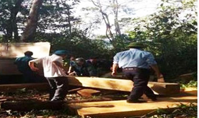 Bãi gỗ lậu vô chủ tại huyện Đắk Hà.