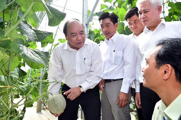 Bộ NN&PTNT sẽ trình Thủ tướng bộ tiêu chí về nông nghiệp công nghệ cao trong tới đây.