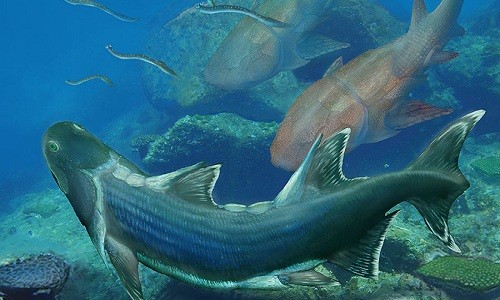 Cá "bọc thép" có thể phát triển mạnh trên Trái Đất từ 420 triệu năm trước. Ảnh: Plos.org.