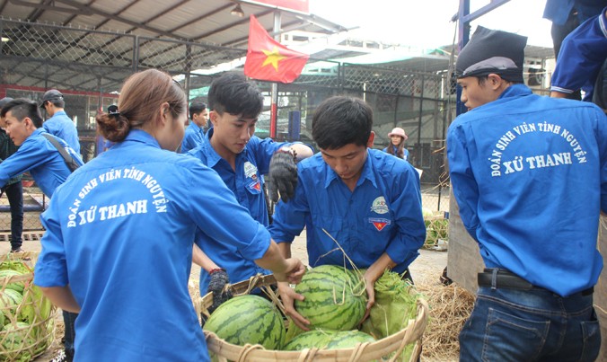 Sinh viên TP. HCM bán dưa hấu giúp nông dân Quảng Ngãi