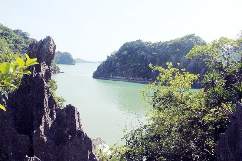 Vườn quốc gia Bái Tử Long nhận danh hiệu Vườn di sản ASEAN