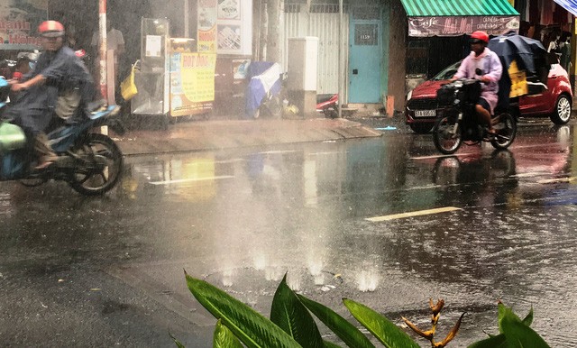 Nước phun lên từ nắp hố ga giữa đường Hoàng Sa (ven kênh Nhiêu Lộc- Thị Nghè) trong cơn mưa chiều ngày 23/6.