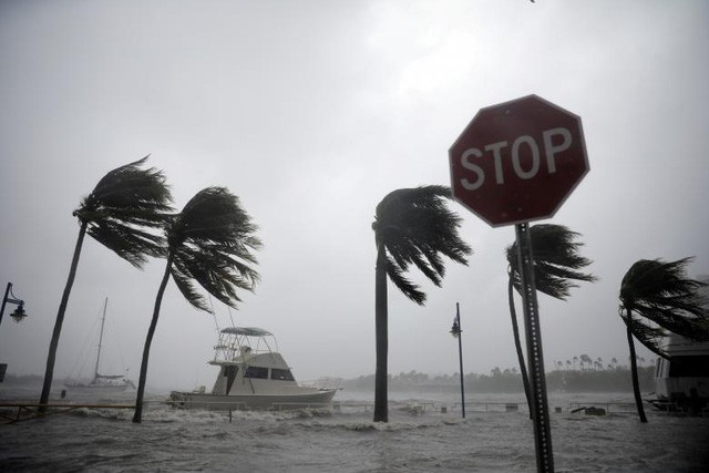 Bão Irma tiến vào nam Florida.
