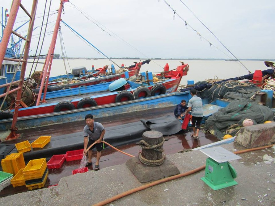 Chủ các tàu thuyền trên địa bàn Nghệ An và Hà Tĩnh đã nắm bắt được thông tin về cơn bão số 10 để chủ động neo đậu tại nơi an toàn.