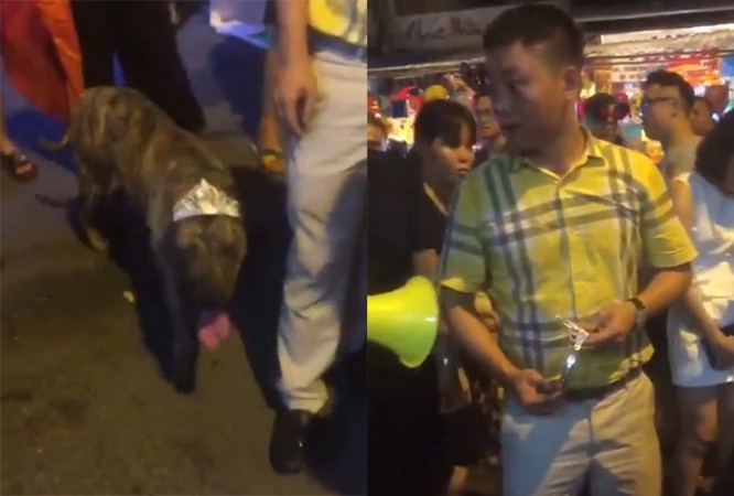 Người đàn ông vô tư thả rông chó trên phố Hà Mã. Ảnh cắt từ clip.