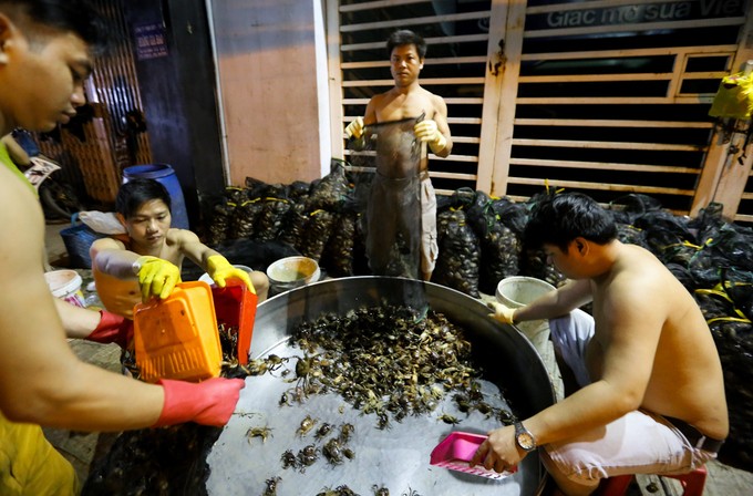 Chợ cua đồng hoạt động lúc nửa đêm trên vỉa hè Sài Gòn