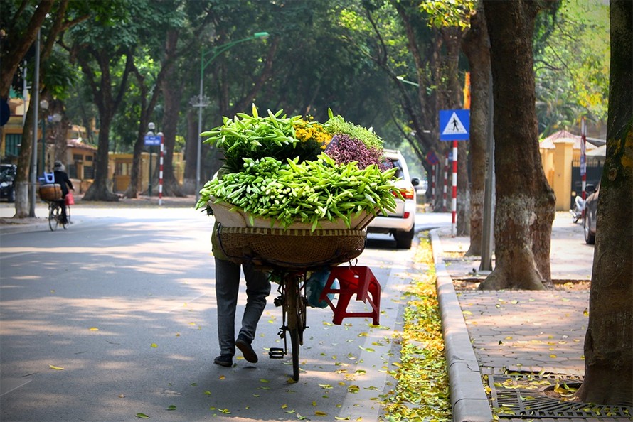 Thời tiết ngày 20/10: Hà Nội nắng đẹp, Sài Gòn có mưa