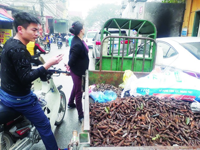 Những viên đạn được thu gom sau vụ nổ ở Bắc Ninh. Ảnh: Nguyễn Hoàn.