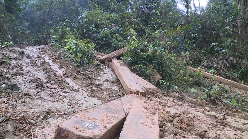 Hiện trường vụ phá rừng nghiêm trọng tại huyện Tuyên Hóa.