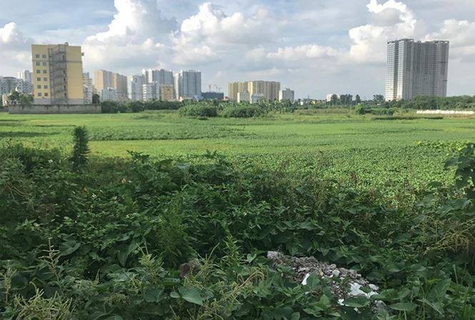 Khu đất dự án BV Đa khoa Quang Trung (quận Hoàng Mai) bị đề nghị thu hồi vì chậm triển khai gần 8 năm nay nhưng đến nay vẫn chưa thực hiện.