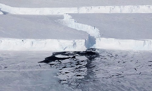 Tảng băng trôi B-46 ước tính rộng 225 km². Ảnh: NASA.
