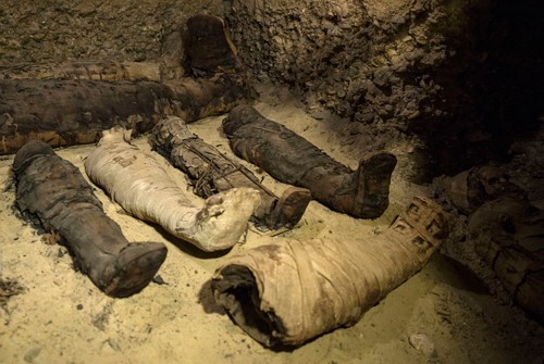 Xác ướp đặt trong lăng mộ cổ ở Minya, Ai Cập. Ảnh: AP Photo/Roger Anis.